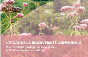 Atlas de la biodiversité communale